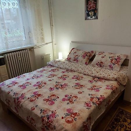 Garsoniera Magda Apartment Deva Exterior photo